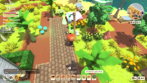 Chill Australian Animal Crossing - Dinkum!