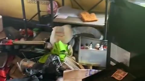 Aftermath of a rainbow themed eviction