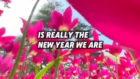 Did you know April 1st is actually the true New Year?