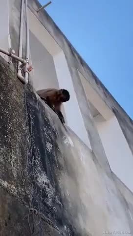 The favoured weapon of the religion of peace!