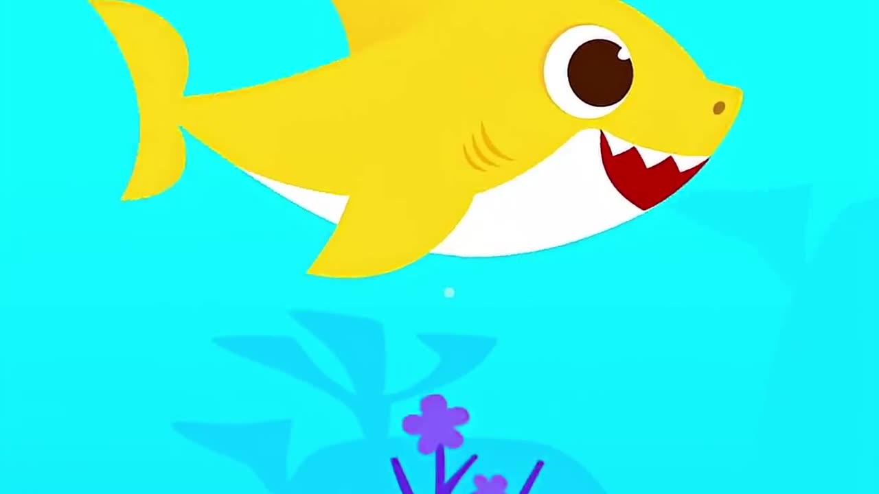 BabyShark 10 years