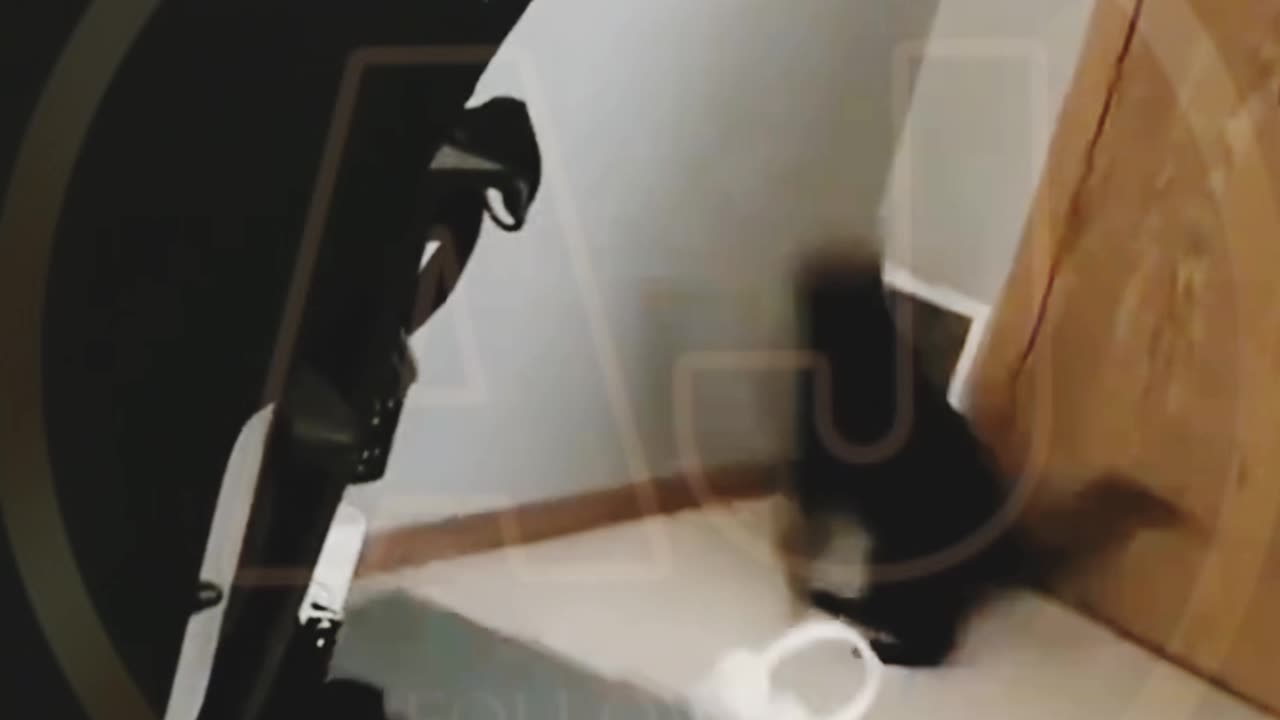 Funny video