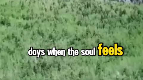 Powerful prayer Thursday