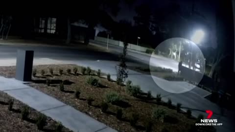Residents speak out after serial plant thief captured on CCTV at Eden Hills - 7NEWS Australia