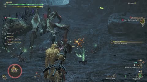 Nerscylla Fight
