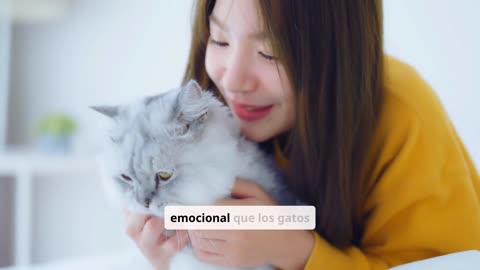 Por que los gatos se van de casa y no vuelven Parte02