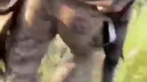 💥🤕 Ukraine Russia War | POV: Russian Soldier Rescues Comrade After Deadly Mine Blast | RCF