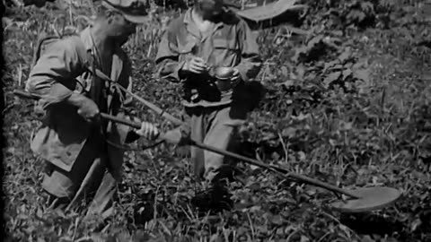 HANDLING JAPANESE PRISONERS, ... - HANDLING JAPANESE PRISONERS, HOLLANDIA, NEW GUINEA - 111-adc-1380