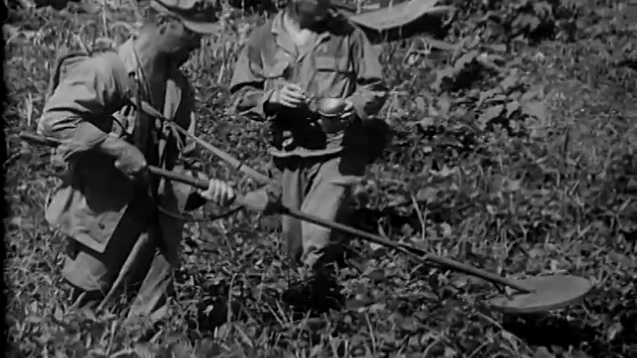 HANDLING JAPANESE PRISONERS, ... - HANDLING JAPANESE PRISONERS, HOLLANDIA, NEW GUINEA - 111-adc-1380