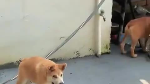 Where The Rest Go?
