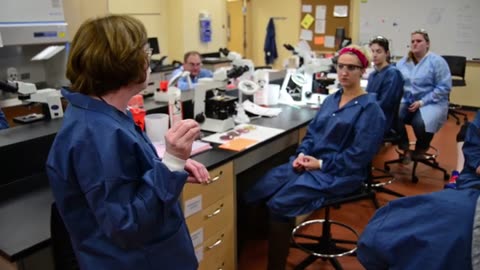 Health Sciences Cluster