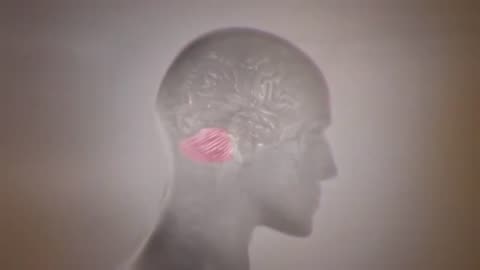 Parkland Docs v Humes & Boswell on JFK's Extruding Cerebellum