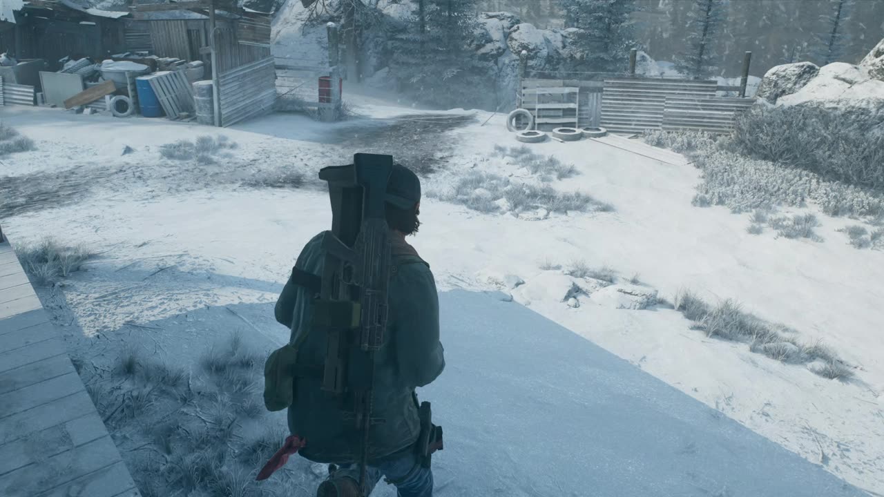 Days Gone - 45