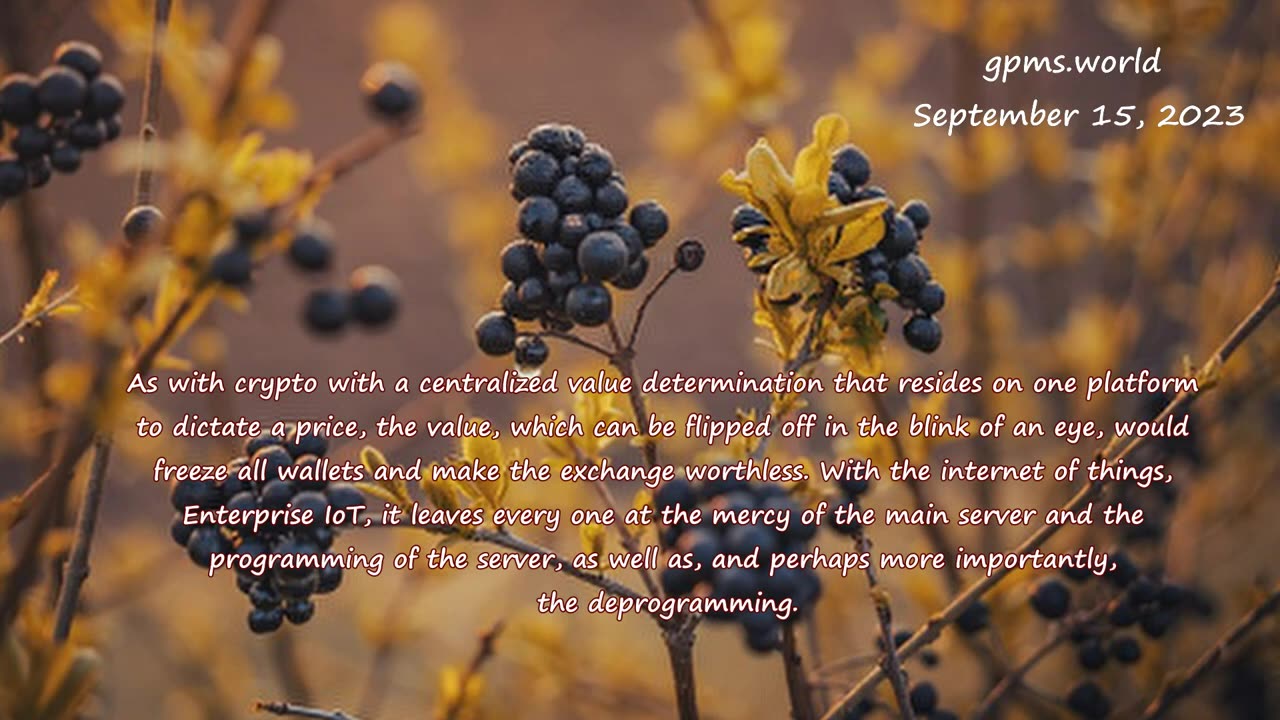 Stock Exchange fraud