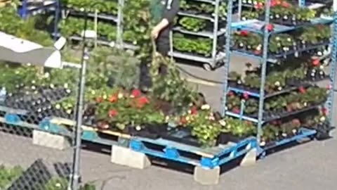 Whirlwind Hits Hardware Store