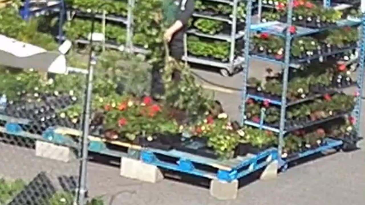 Whirlwind Hits Hardware Store