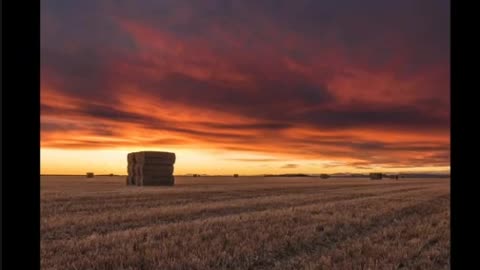 Géczy Gábor a rák gyógyítása