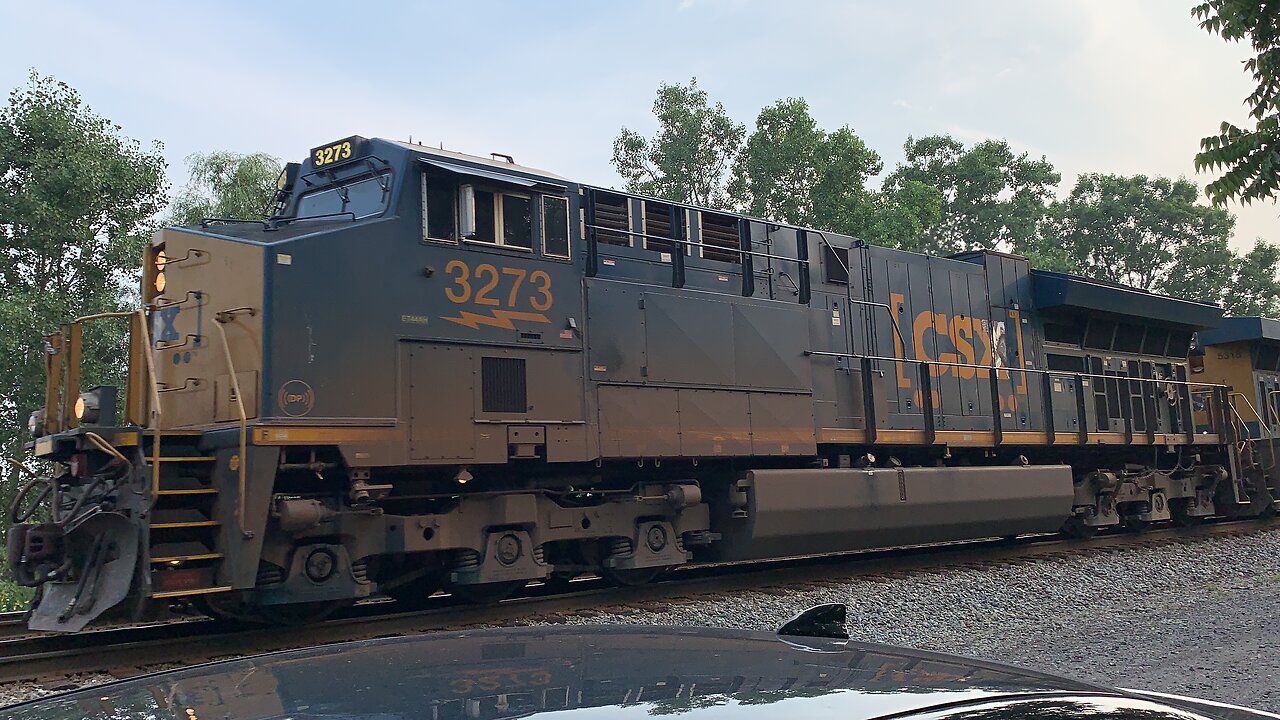 Lightning Fast CSX Train part 29 Stinging the Steel