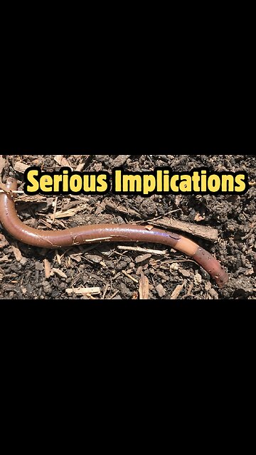 Would You Love Me if I Was a Worm?