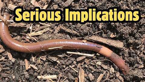 Would You Love Me if I Was a Worm?
