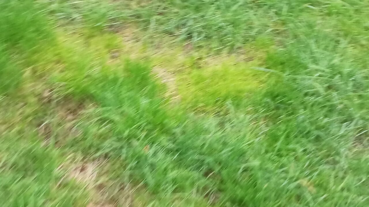 Gutter safety part 2