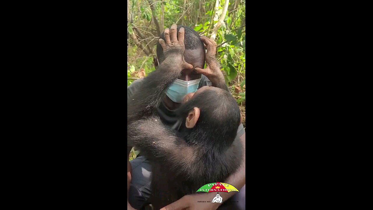 They need to join us, and stop living in the forest and help us pay taxes.
