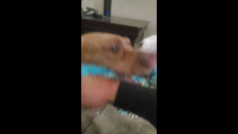 Rest In Peace Mr. Cane