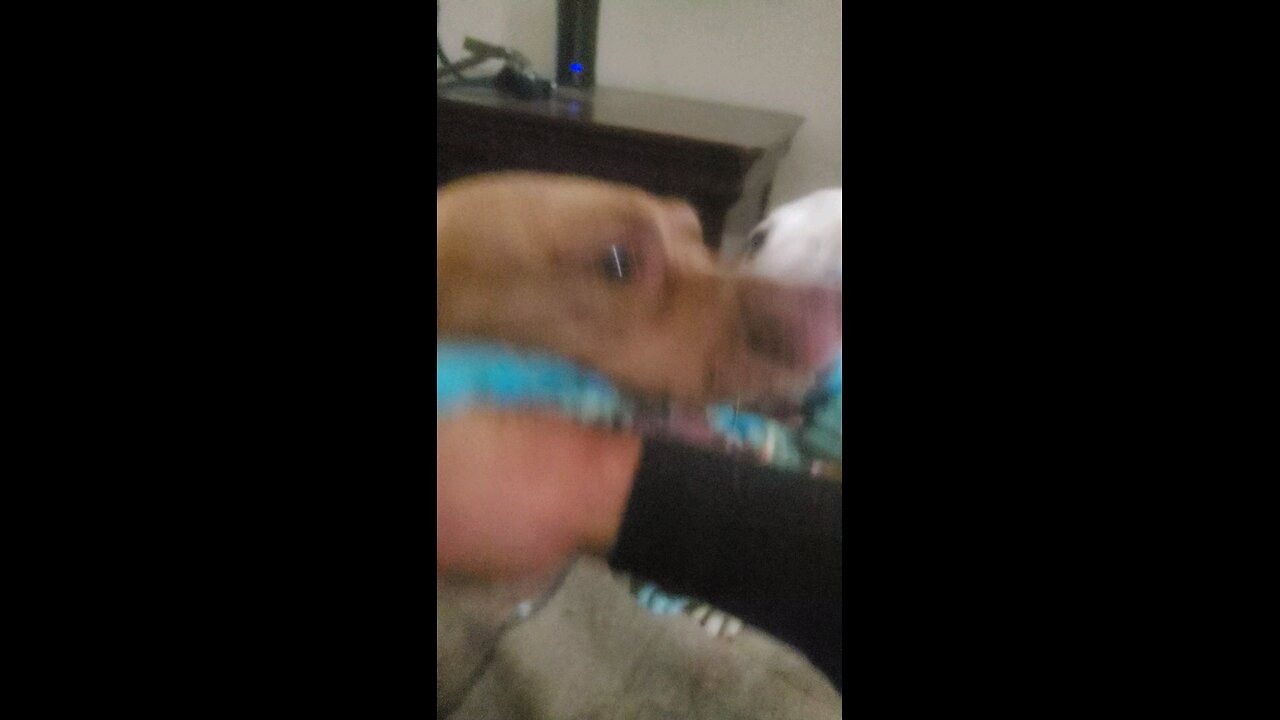 Rest In Peace Mr. Cane