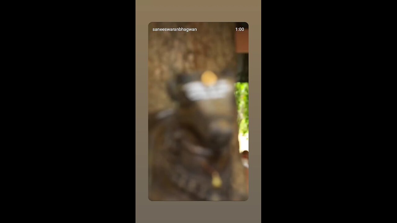 indian culture