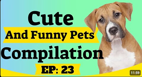 Cute and Funny Pet Videos