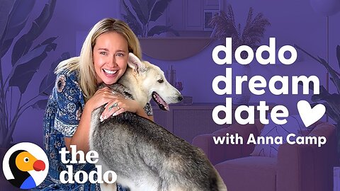 Anna Camp Goes On A Dodo Dream Date | The Dodo