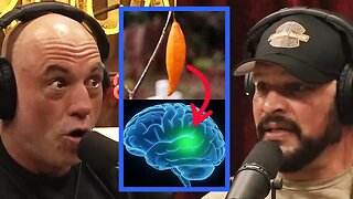 Joe Rogan on the AFRICAN Root That’s Beating Addiction With 90% Success