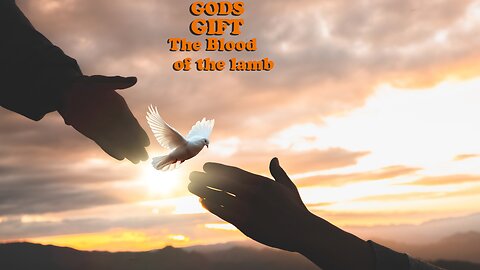 God's Gift: The Blood of the Lamb