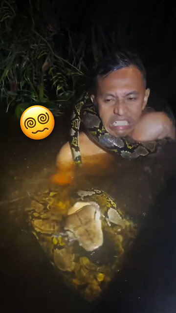 Accidentado encuentro con una pitón casi terminaba en tragedia