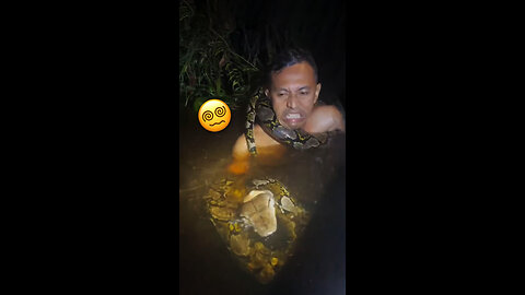 Accidentado encuentro con una pitón casi terminaba en tragedia