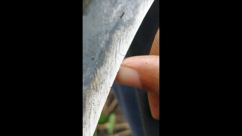 Sharpening Knives with Natural Stone 🔪 | Real Village Technique You Must See!