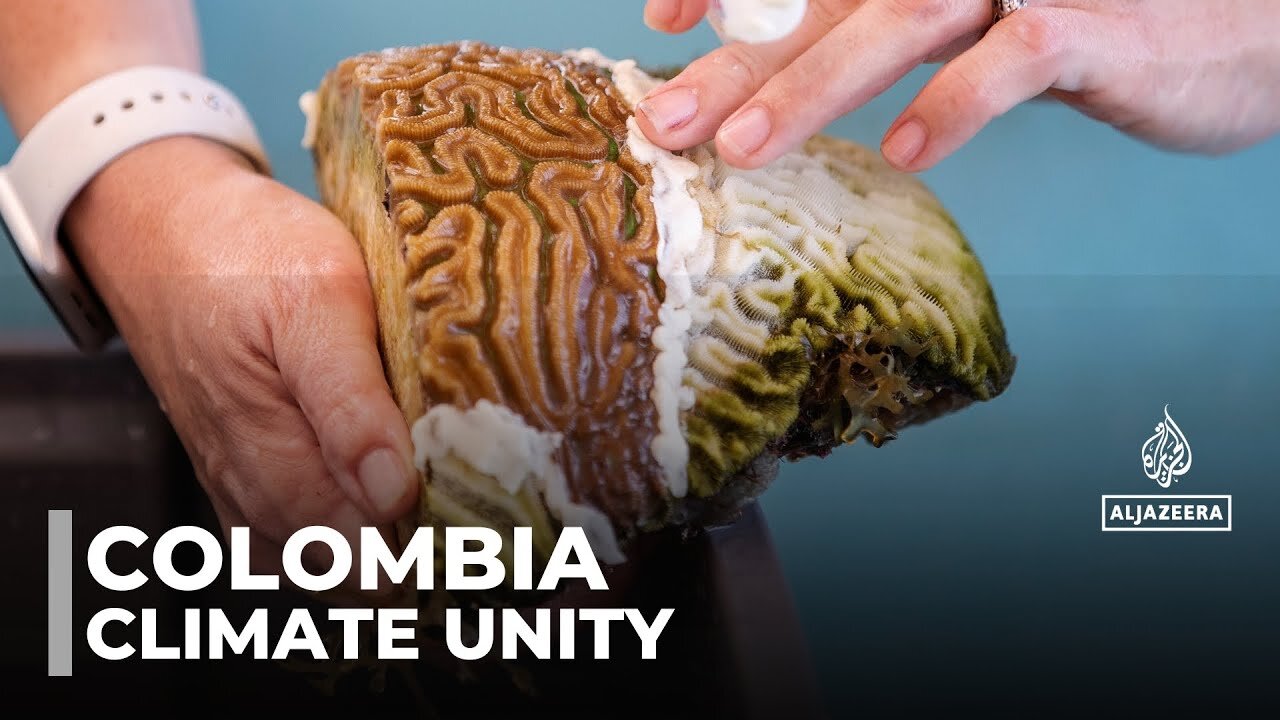 Caribbean nations unite in Colombia to tackle climate_ promote regional integration