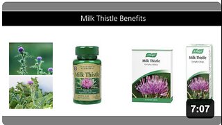 Milk Thistle Benefits