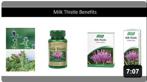 Milk Thistle Benefits