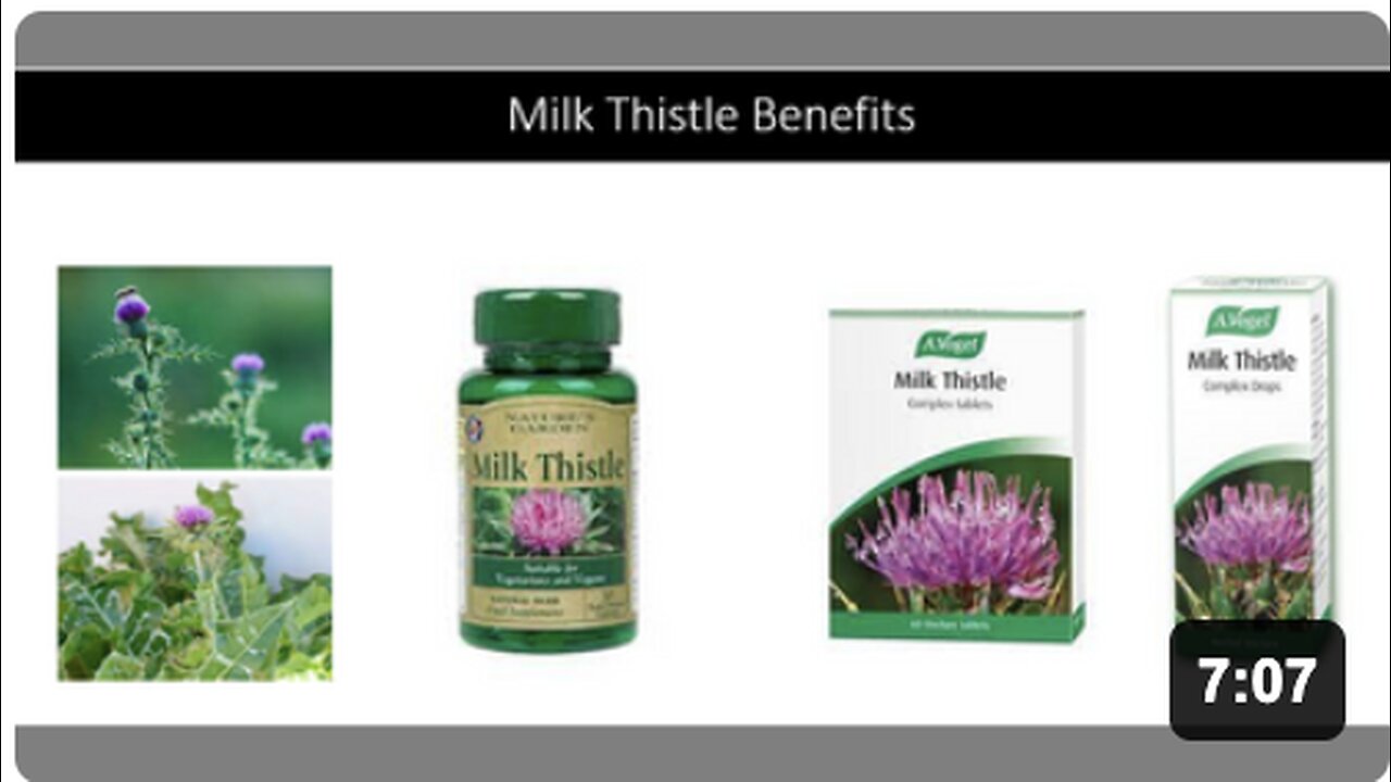 Milk Thistle Benefits