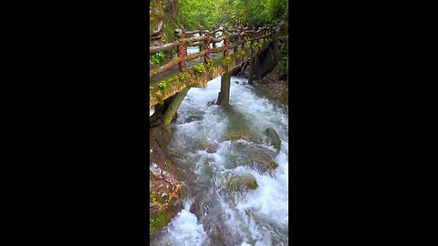nature sound I#NatureVibes #EarthLove #NatureWisdom #MotherNature #GreenLife #EcoInspirati