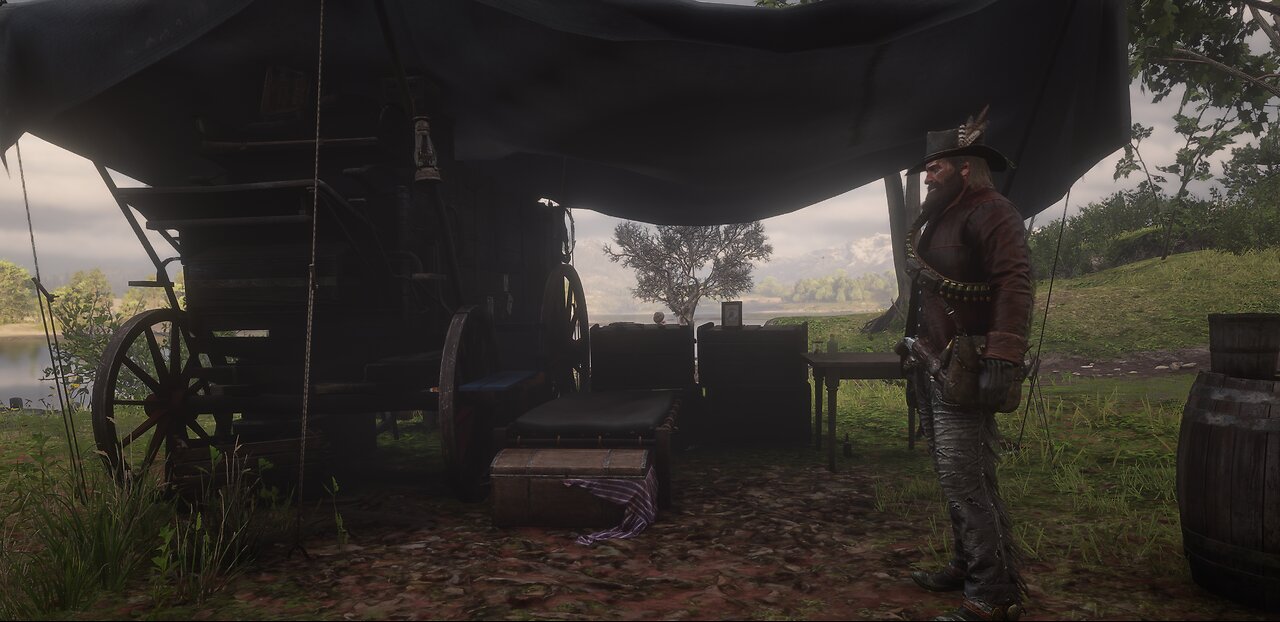 Red Dead Redemption II - Storyline