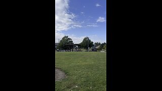 A nice day at the park