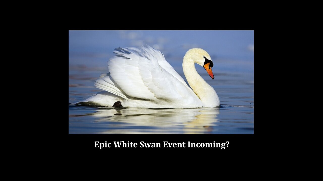 Epic White Swan Event Incoming?
