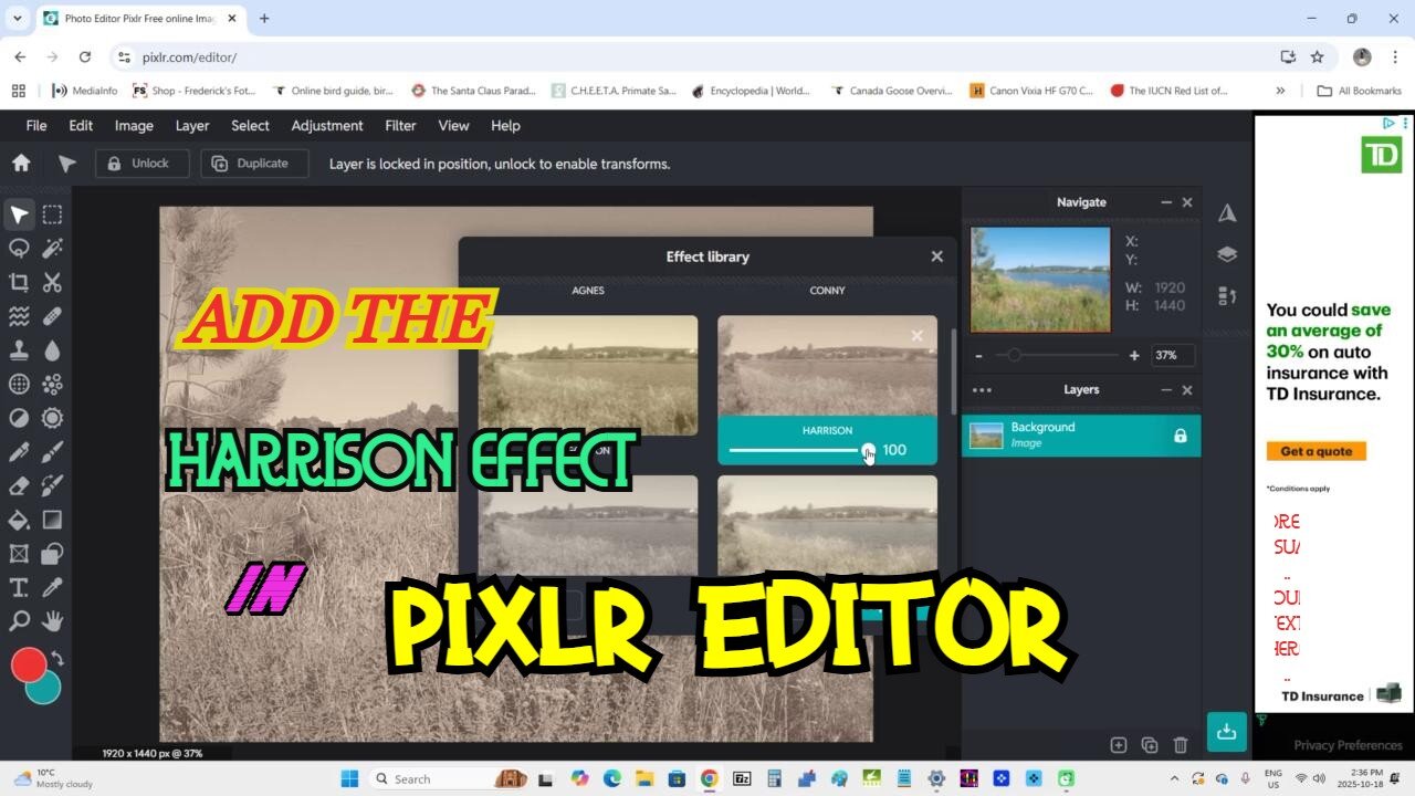 Add the Harrison effect in Pixlr Editor