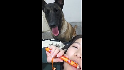 Dog eats shooting cheese balls