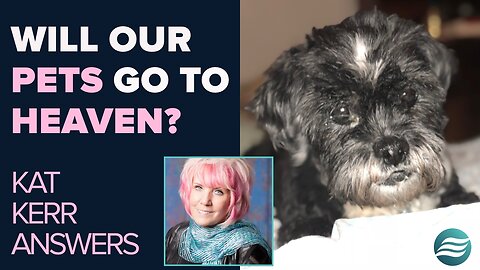 Kat Kerr Talks About Seeing Our Pets In Heaven! | Aug 6 2025