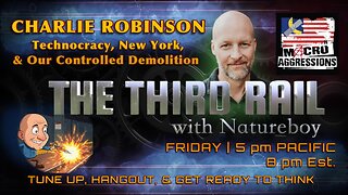The Third Rail w/ Natureboy 11/14/2025 Charlie Robinson