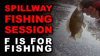 Spillway Fishing Session