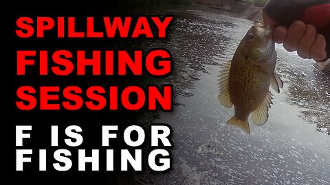 Spillway Fishing Session